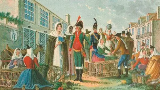 Em História, o importante é focar nas análises e comparações