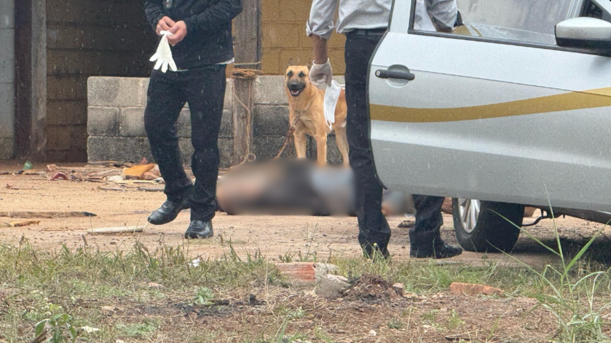 Homem é encontrado morto com órgão reprodutor mutilado em Ribeirão Preto