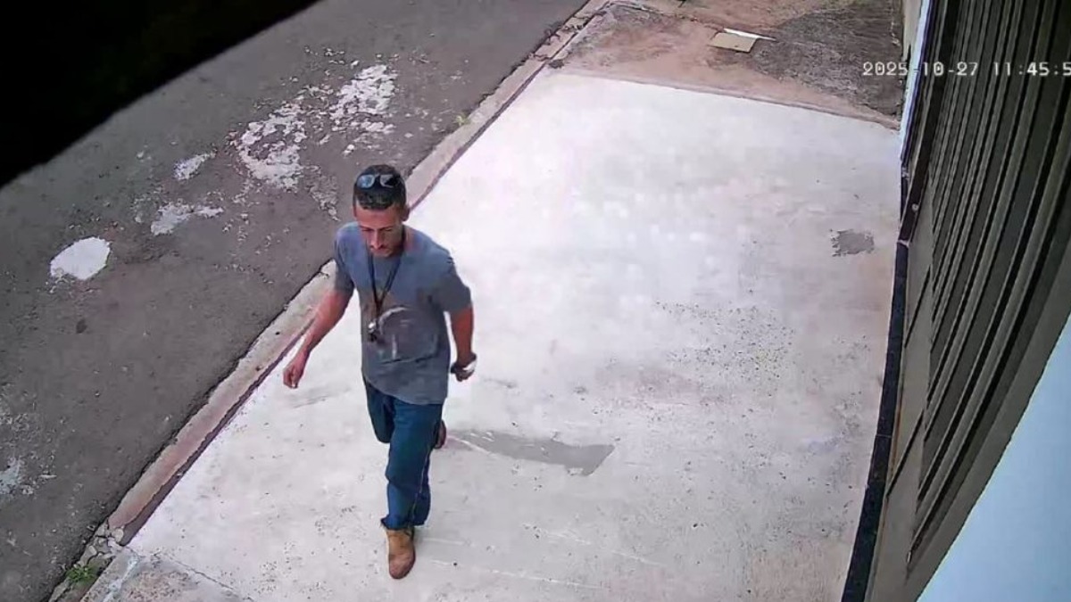 Homem furta pinheiro da calçada de uma casa na zona norte de Ribeirão Homem furta pinheiro da calçada de uma casa na zona norte de Ribeirão