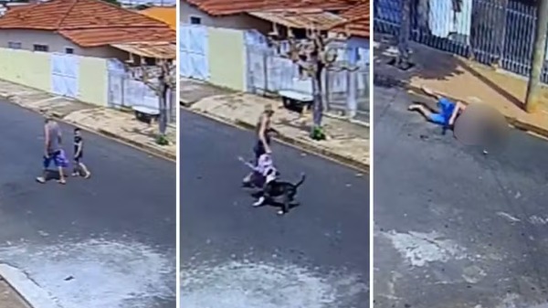 "Não é normal", destaca Gelson Genaro sobre cachorros agindo com extrema agressividade