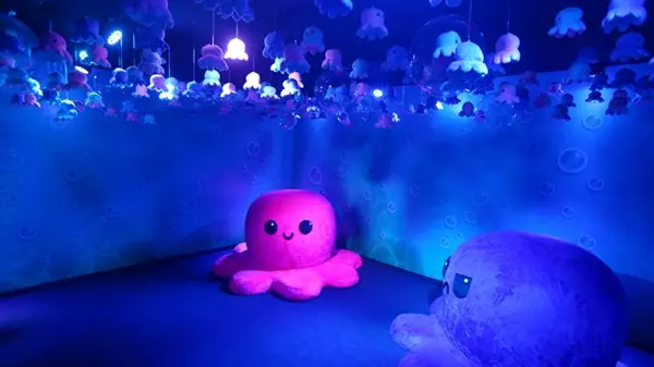Iguatemi Ribeirão Preto lança evento inédito de Fidget Toys