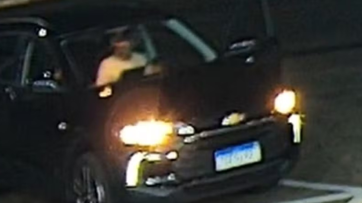 Inquérito da Polícia Civil conclui que Bigodini estava embriagado e dirigia carro que bateu em árvore