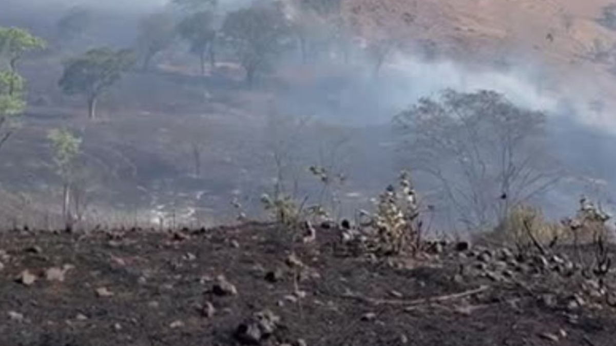 Incêndio em área de preservação na zona rural de Cajuru mobiliza Bombeiros e Helicópteros