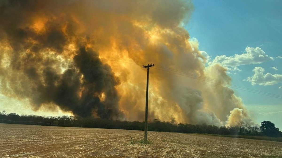 Incêndio de grandes proporções atinge canavial entre Ipuã e Guaíra