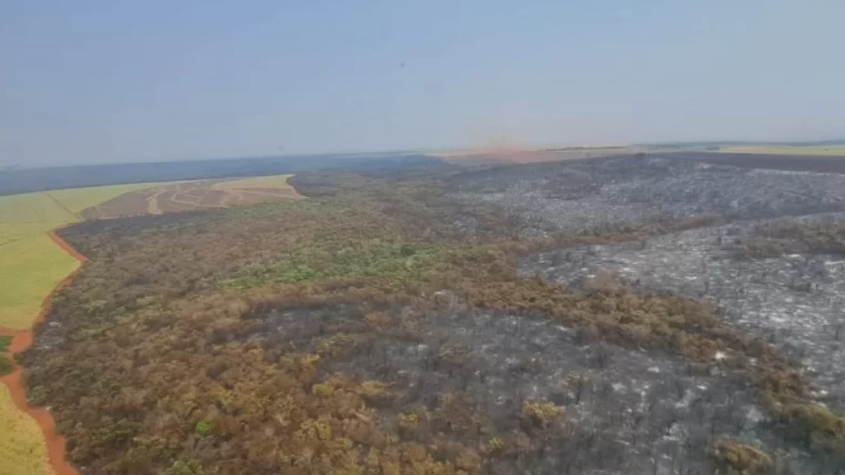 Depois de uma semana, Estação Ecológica Jataí, não registra mais focos de incêndio