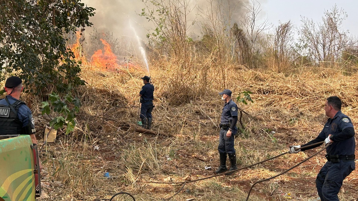 Área no bairro Heitor Rigon volta a pegar fogo, na Zona Norte de Ribeirão