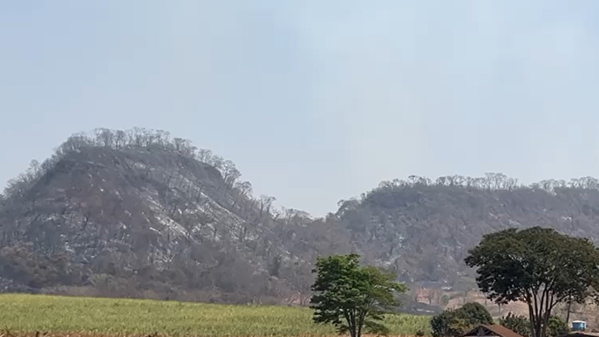 Força-tarefa tenta apagar um incêndio que consome uma mata desde segunda (9), em Cristais Paulista