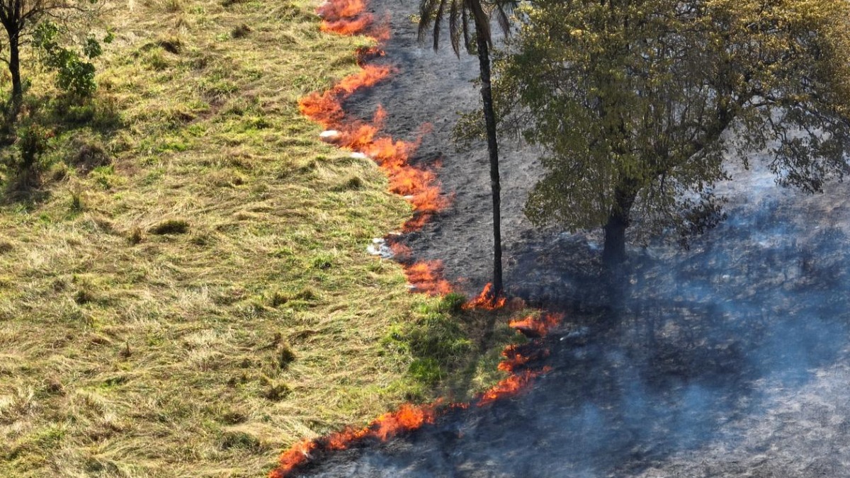 Defesa Civil está na Agrishow para orientar produtores sobre combate a incêndios no campo