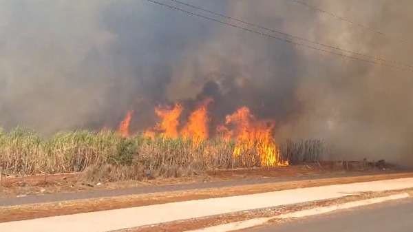 Incêndio em canavial - Foto: Redes sociais