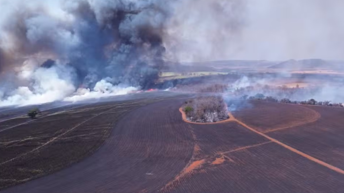Município de Igarapava lidera ranking de registro de incêndios no estado de São Paulo em 2025
