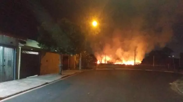 Fogo atinge mata na zona Leste de Ribeirão Preto; Veja vídeo