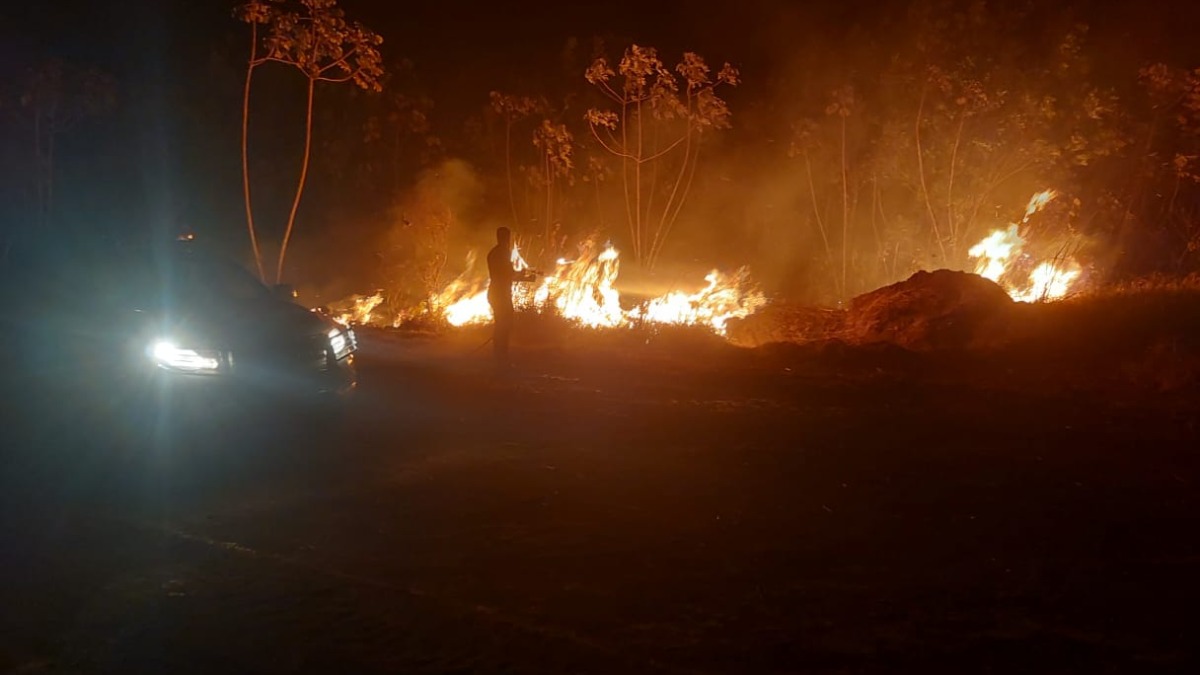 Dados apontam que seis das dez cidades com mais focos de incêndio ficam na região de Ribeirão Preto