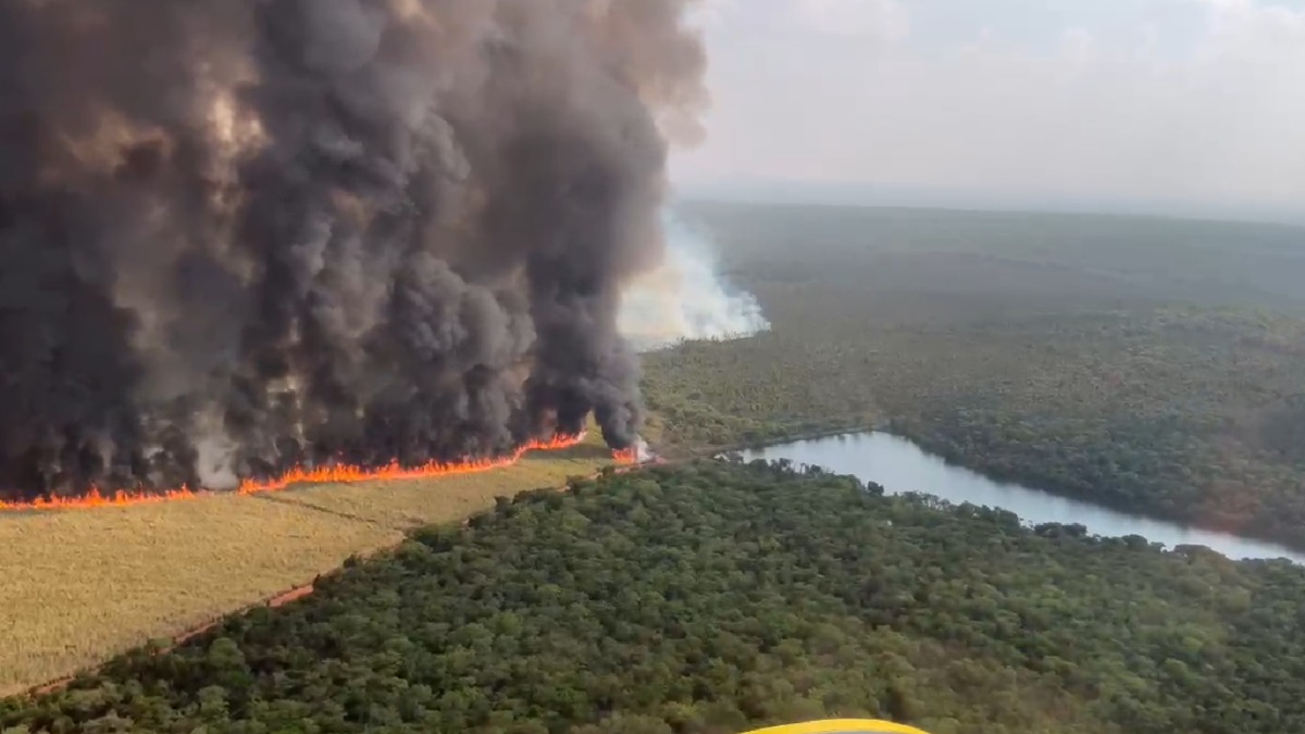 Combatentes montam operação de guerra para tentar controlar incêndio na Estação Ecológica de Jataí