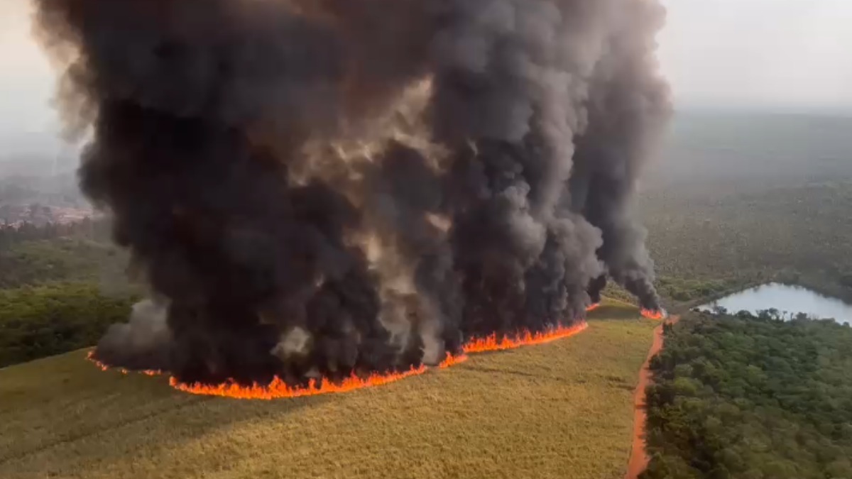 Cinco aviões e dois helicópteros atuam no combate às chamas na Reserva Ecológica Jataí