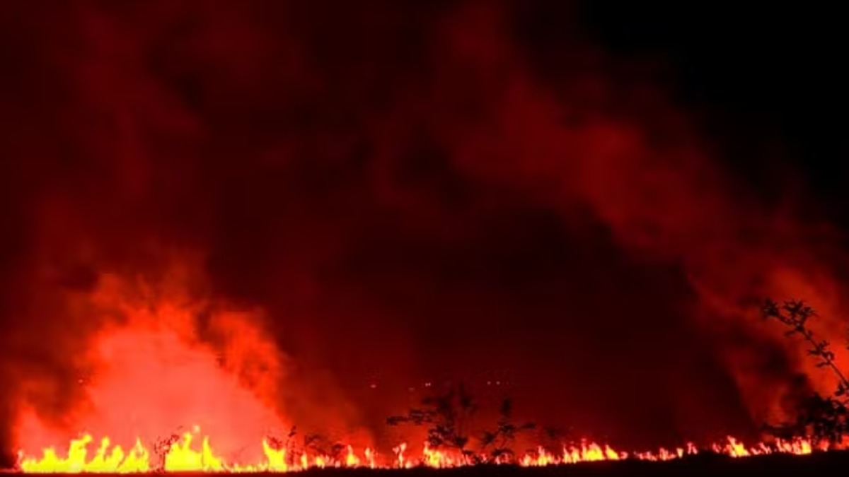 Região de Franca é uma das mais afetadas pelos incêndios no interior de São Paulo