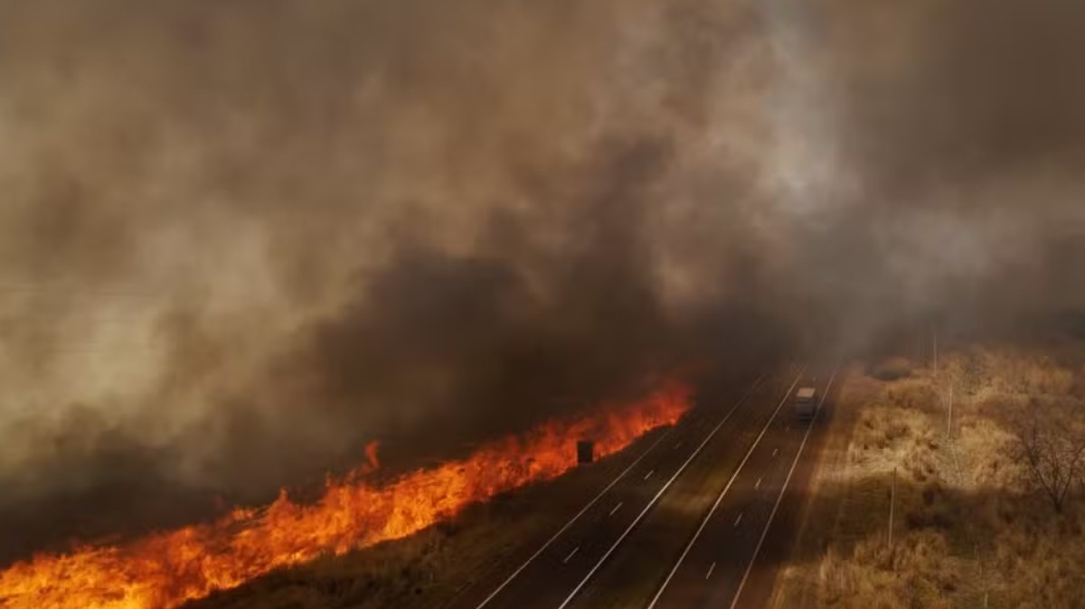 Datagro 2025 discute incêndios que prejudicaram produção em 2024