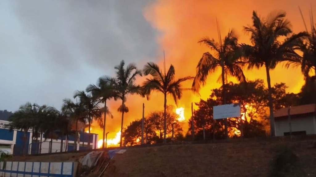 Estimativa aponta que prejuízo causados pelos incêndios ao agronegócio paulista chega a R$ 2 bilhões