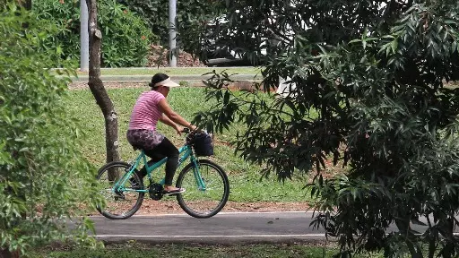 Capital paulista do pedal faz da bicicleta rotina, lazer e esporte
