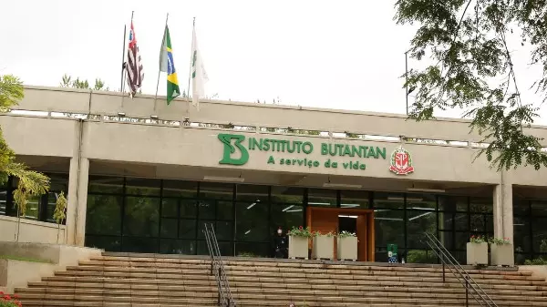 Vacina única contra covid-19 e gripe tem resultados promissores