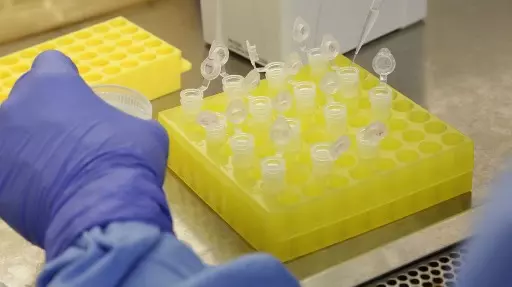 Em Biologia, foque no tema "queridinho" de cada vestibular