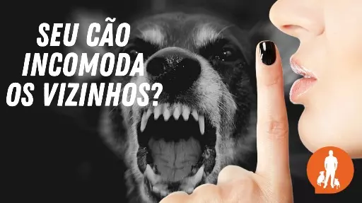 Entenda os tipos de latidos dos cães