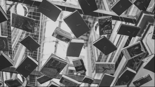 Desmonotonia dos Livros - Um conto de Leo Cassettari