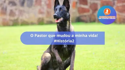 O Pastor que mudou minha vida! - #História2
