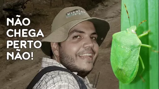 O universo da Maria Fedida