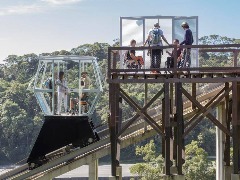 Existe mata atlântica em São Paulo e você pode vê-la de cima