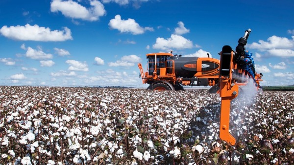 Exportação de algodão do Brasil fica entre as cinco maiores