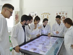 Medicina: Unicid abre inscrições para transferência externa