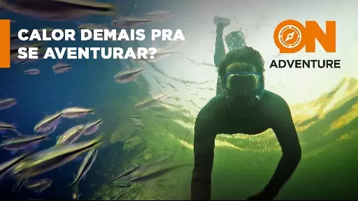 Snorkeling: A prática de mergulho em águas rasas