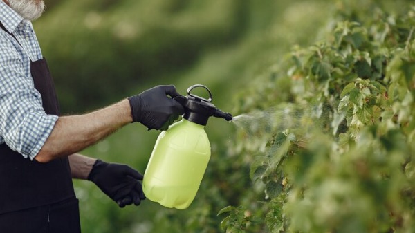 Senado aprova lei que trata da concessão de registro e comercialização de pesticidas