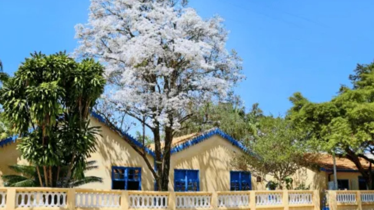 Museu Casa de Portinari tem programação especial para o 