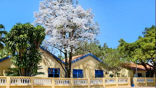 Casa de Portinari tem programação com música caipira em Brodowski