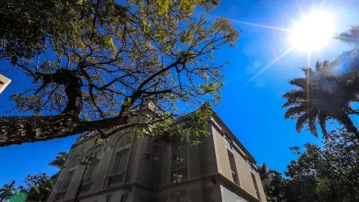 Araraquara completa 25 dias sem morte por covid-19
