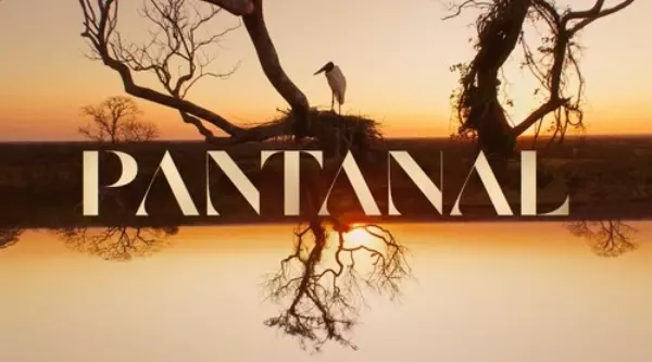 Confira o resumo das novelas: Além da Ilusão, Quanto Mais Vida Melhor e Um Lugar ao Sol
