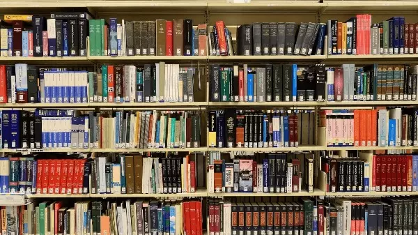 Piracicaba (SP): cidade diversificada em todos os setores