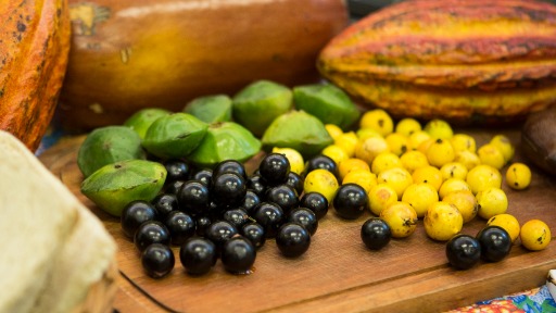 Sesc destaca alimentação em atividades da semana