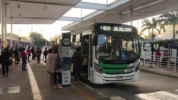 Veja como foi a volta dos ônibus do transporte coletivo de Ribeirão