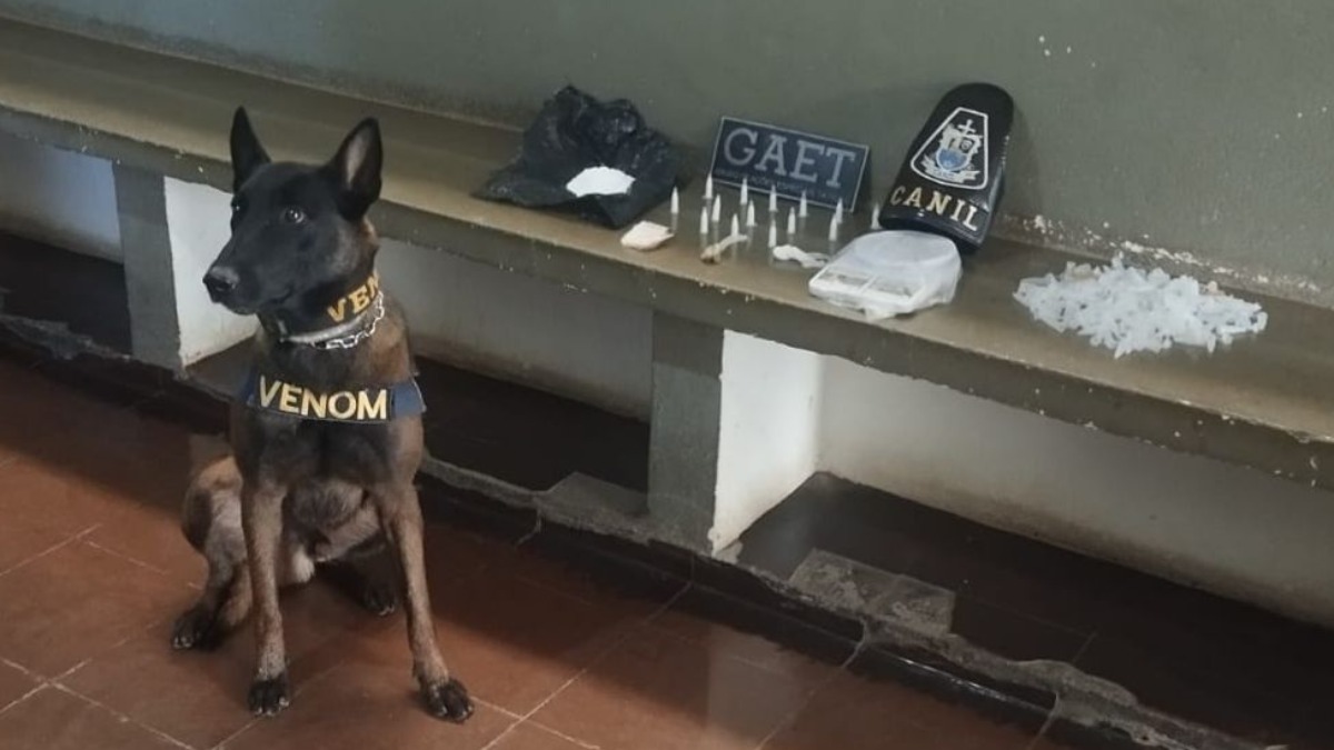 Operação da Polícia Civil termina com duas pessoas presas por tráfico de drogas em Monte Alto
