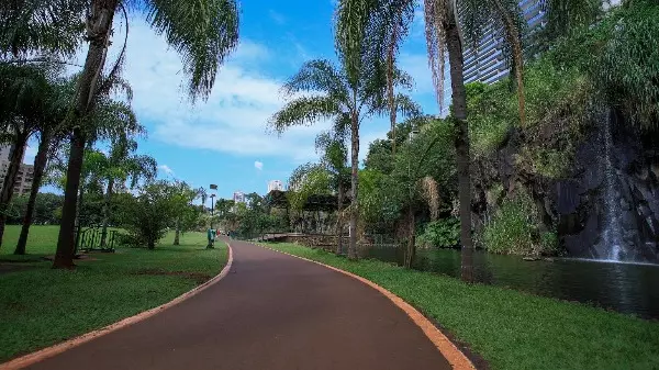 Parques de Ribeirão têm atividades gratuitas no final de semana