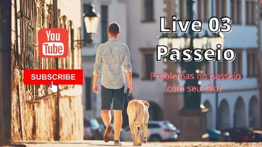 Problemas no passeio com seu cão? Aula Especial!