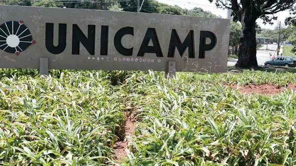 Unicamp desenvolve clareador dental feito de cogumelo