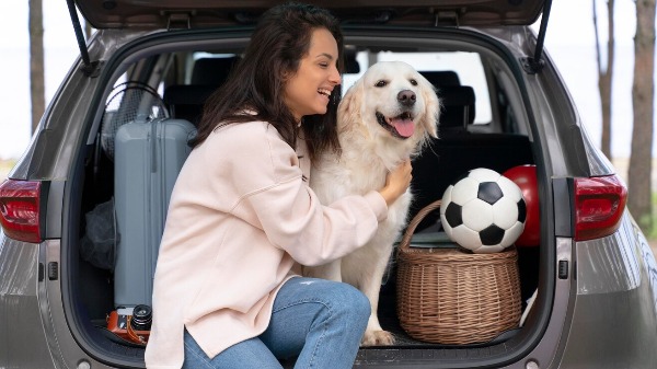 Manter rotina da alimentação, brinquedos e muito carinho são importantes para que o animal não estresse e também aproveite a viagem (Foto: Reprodução/Freepik) - Foto: Divulgação