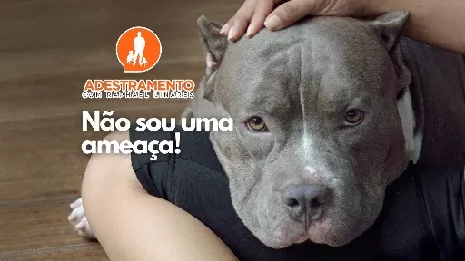 Pitbulls são ameaçadores?