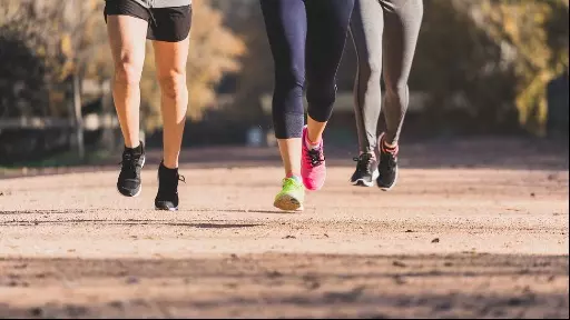 Qual a melhor planilha de treino? Confira tudo o que você precisa saber