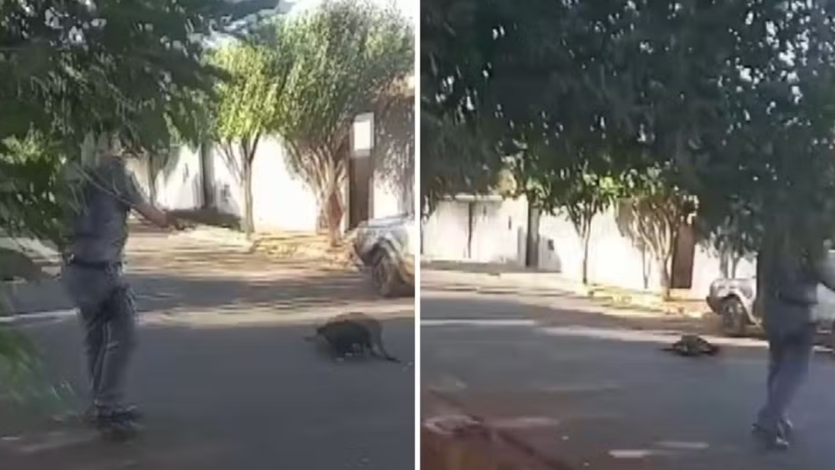 Policial atira e mata cachorro durante abordagem na região central de Guará