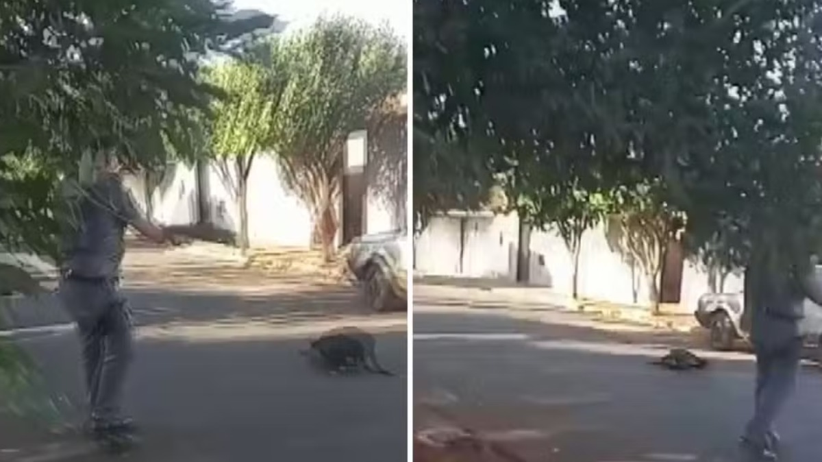 Polícia Civil de Guará inicia investigação sobre abordagem policial que terminou com pitbull morto