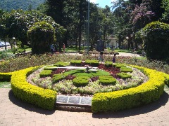 Além de Holambra: 6 cidades brasileiras para visitar na primavera